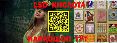 дмт Ярославль